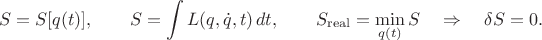 $$S=S[q(t)],\qquad S=\int L(q,\dot{q},t)\,dt,\qquad S_\mathrm{real}=\min_{q(t)}S\quad\Rightarrow\quad \delta S=0.$$