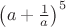 $\left(a+\frac 1a\right)^5$