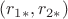 $(r_{1*}, r_{2*})$