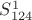 $S^1_{124}$