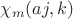 $\chi_m (aj,k)$