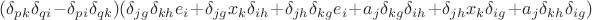 $(\delta_{pk}\delta_{qi}-\delta_{pi}\delta_{qk})(\delta_{jg}\delta_{kh}e_i+\delta_{jg}x_k\delta_{ih}+\delta_{jh}\delta_{kg}e_i+
a_j\delta_{kg}\delta_{ih}+\delta_{jh}x_k\delta_{ig}+a_j\delta_{kh}\delta_{ig})$