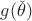 $g(\check{\theta})$
