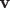 $\textbf{v}$