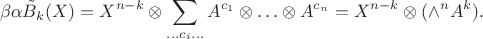 $$\beta\alpha\tilde B_k(X) = X^{n-k} \otimes\sum_{\ldots c_i \ldots} A^{c_1} \otimes\ldots\otimes A^{c_n} = X^{n-k} \otimes (\wedge^n A^k).$$ $$\beta\alpha\tilde B_k(X) = X^{n-k} \otimes\sum_{\ldots c_i \ldots} A^{c_1} \otimes\ldots\otimes A^{c_n} = X^{n-k} \otimes (\wedge^n A^k).$$