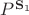 $P^{\mathbf S_1}$ $P^{\mathbf S_1}$
