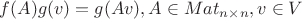 $f(A)g(v)=g(Av), A \in Mat_{n \times n}, v \in V$