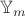 $\mathbb{Y}_m$