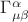 $\Gamma^{\alpha}_{\mu \beta}$