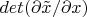 $det (\partial \tilde x/\partial x)$