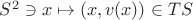$S^2\ni x\mapsto (x,v(x)) \in TS$