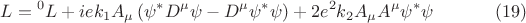 $$ L = {{}^0 L} + i e k_1 A_{\mu} \left (\psi^{*} D^{\mu} \psi - D^{\mu} \psi^{*} \psi \right ) + 2 e^2 k_2 A_{\mu} A^{\mu} \psi^{*} \psi \eqno{(19)}$$