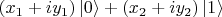 $(x_1+iy_1)\left\lvert0\right\rangle+(x_2+iy_2)\left\lvert1\right\rangle$