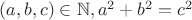 $(a, b, c) \in \mathbb N, a^2 + b^2 = c^2$