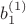 $b_1^{(1)}$