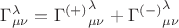 $\Gamma^{\lambda}_{\mu \nu} = {\Gamma^{(+)}}^{\lambda}_{\mu \nu} + {\Gamma^{(-)}}^{\lambda}_{\mu \nu}$