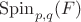 $\mathrm{Spin}_{p,q}(F)$