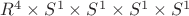 $R^4\times S^1\times S^1\times S^1\times S^1$