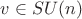 $v\in SU(n)$