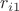 $r_{i1}$
