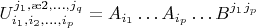 $$U_{i_1,i_2,\dots,i_p}^{j_1,\j2,\dots,j_q} = A_{i_1}\dots A_{i_p}\dots B^{j_1}\dotsB^{j_p}$$