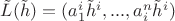 $\Tilde{L}(\Tilde{h}) = (a_1^i \Tilde{h}^i,...,a_i^n \Tilde{h}^i)$