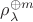 $\rho_\lambda^{\oplus m}$