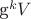 g^kV