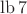 $\operatorname{lb}7$