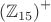 $$\left(\mathbb{Z}_{15}\right)^+$$