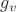$g_v$