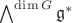$\bigwedge^{\dim G}\mathfrak g^*$ $\bigwedge^{\dim G}\mathfrak g^*$