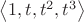 $\left\langle 1,t,t^2,t^3\right\rangle$