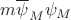 $m\overline{\psi}_M\psi_M$