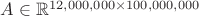 $A \in {\mathbb R}^{12,000,000 \times 100,000,000}$