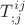 $T^{i j}_{;j}$