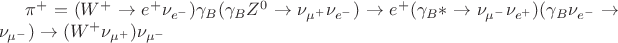 $\pi^+ = (W^+ \to e^+\nu_{e^-})\gamma_B(\gamma_BZ^0 \to\nu_{\mu^+}\nu_{e^-}) \to e^+(\gamma_B* \to \nu_{\mu^-}\nu_{e^+})(\gamma_B\nu_{e^-} \to \nu_{\mu^-}) \to (W^+\nu_{\mu^+})\nu_{\mu^-}$