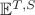 $\mathbb{E}^{T,S}$
