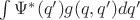 $\int\Psi^*(q')g(q,q')dq'$ $\int\Psi^*(q')g(q,q')dq'$