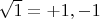 $\sqrt{1}=+1 , -1$