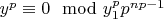 $y^p \equiv 0 \mod y_1^p p^{np-1}$