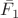$\bar{F}_{1}$