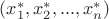 $(x^*_{1}, x^*_{2}, ..., x^*_{n})$