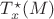 $T^{\star}_{x} (M)$