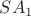 $SA_1$
