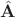 $\hat{{\bf A}}$ $\hat{{\bf A}}$