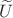 $\widetilde{U}$