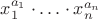 $x_1^{a_1}\cdot \ldots \cdot x_n^{a_n}$