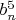 $b_n^5$