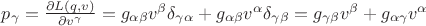 $p_{\gamma}=\frac{\partial L(q,v)}{\partial v^\gamma}=g_{\alpha\beta}v^\beta\delta_{\gamma\alpha}+g_{\alpha\beta}v^\alpha\delta_{\gamma\beta}=g_{\gamma\beta}v^\beta+g_{\alpha\gamma}v^\alpha$